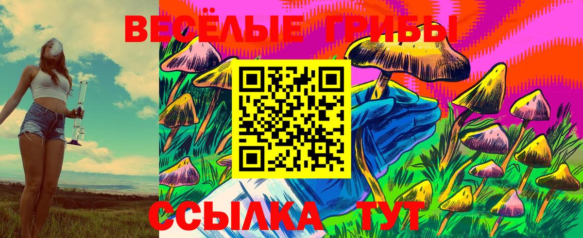 Галлюциногенные грибы Psilocybine cubensis Дербент
